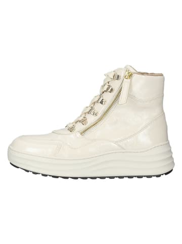 Gabor Leder-Sneakers in Creme