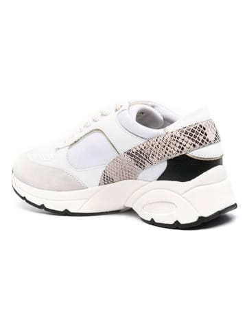 Geox Leder-Sneakers "Alhour" in Weiß/ Beige/ Schwarz
