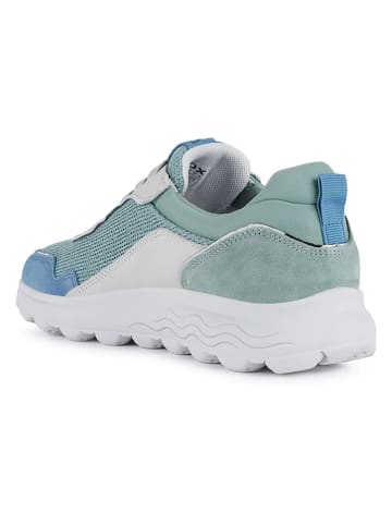 Geox Leder-Sneakers "Spherica" in Hellblau/ Weiß