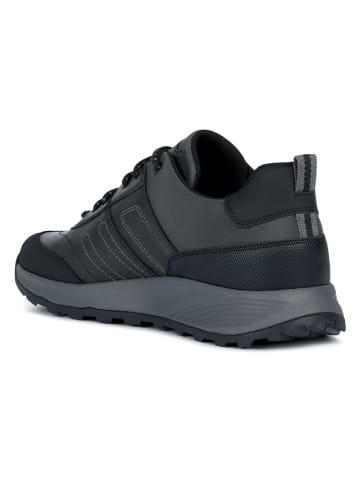 Geox Sneakers "Terrestre B ABX" in Schwarz/ Grau