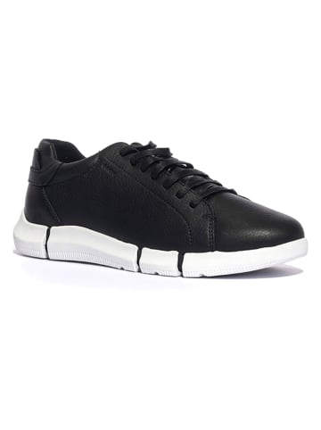 Geox Leren sneakers "Adacter" zwart