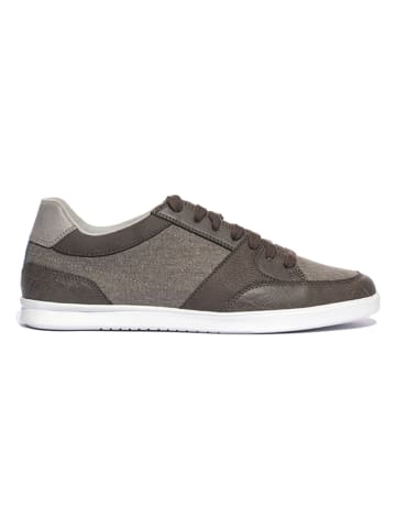 Geox Sneakers "Walee" in Grau
