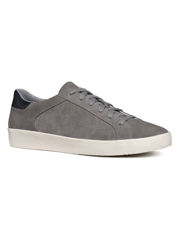 Geox Sneakers "Warley" in Grau