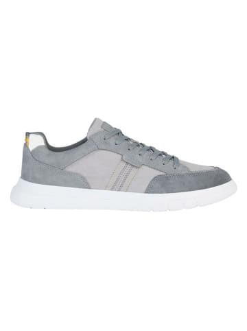 Geox Sneakers "Merediano" in Grau