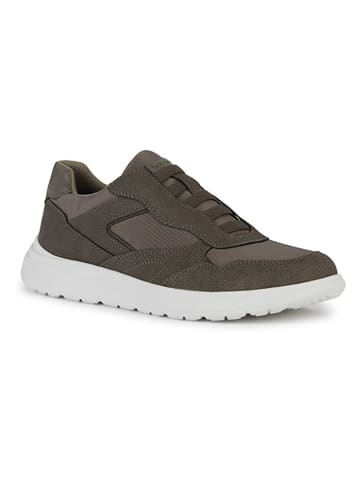 Geox Sneakers "Portello" kaki