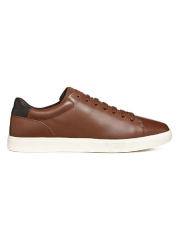Geox Leder-Sneakers "Avola" in Braun