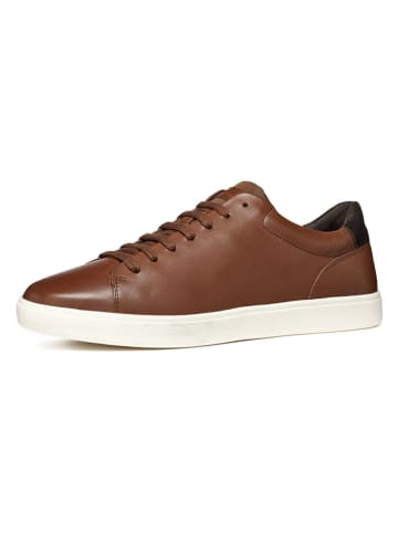 Geox Leder-Sneakers "Avola" in Braun