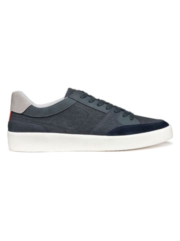 Geox Sneakers donkerblauw