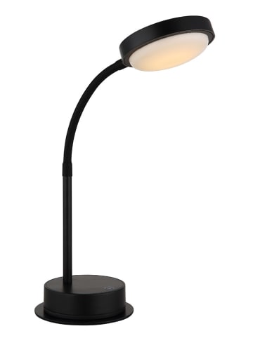 Globo lighting LED-Tischleuchte "Pegasi" in Schwarz - (B)19 x (H)38 x (T)12 cm