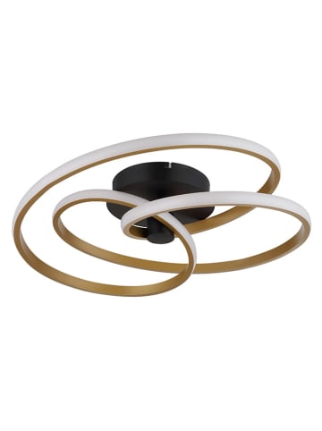 Globo lighting Lampa sufitowa LED "Glyxar" w kolorze złoto-czarnym - wys. 16 x Ø 50 cm