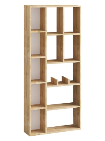 Scandinavia Concept Regał "Demios" w kolorze beżowym na książki - 75 x 170 x 18 cm