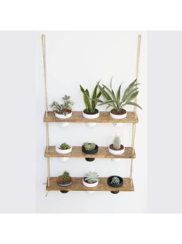 Scandinavia Concept Blumenregal in Hellbraun - (B)60 x (H)13 x (T)1,3 cm