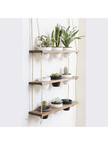 Scandinavia Concept Regał w kolorze jasnobrązowym na kwiaty - 60 x 13 x 1,3 cm