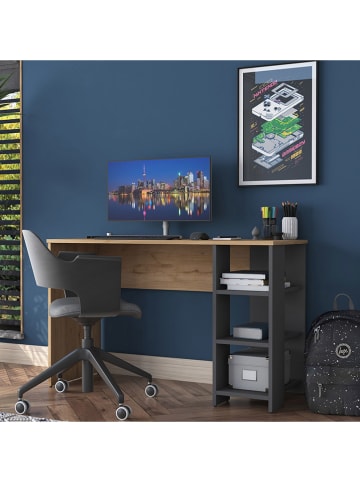 Scandinavia Concept Schreibtisch in Grau/ Hellbraun - (B)120 x (H)73,8 x (T)45 cm