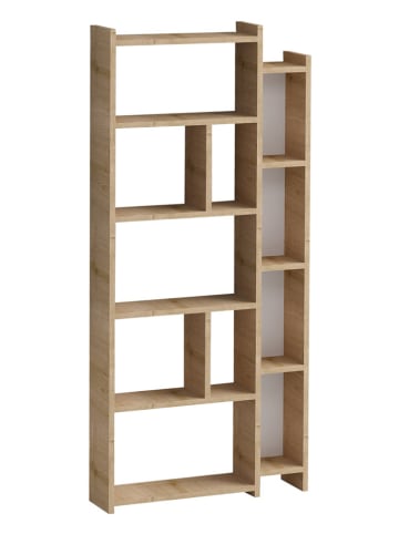 Scandinavia Concept Regał "Momo" w kolorze brązowym na książki - 65 x 150 x 15 cm