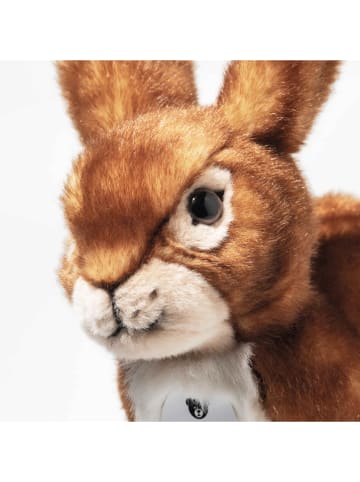 Steiff Plüschfigur "Dormili Hase" - ab 3 Jahren