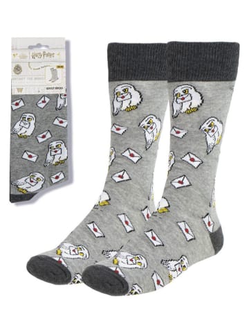 Lucky Socks Socken "Harry Potter" in Grau/ Weiß