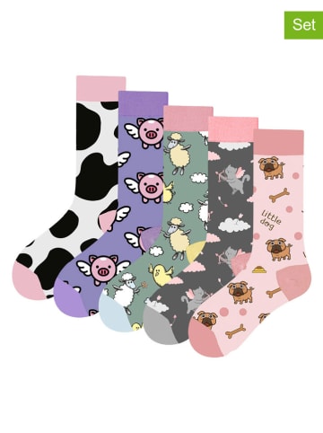 Lucky Socks 5-delige set: sokken meerkleurig