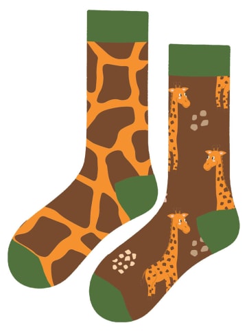 Lucky Socks 5-delige set: sokken meerkleurig