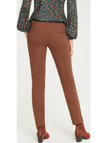 Heine Chinobroek lichtbruin