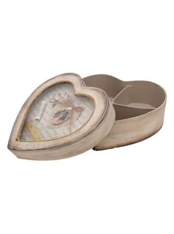 Anticline Naaidoos lichtbruin - (B)24 x (H)22 x (D)10 cm