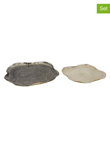 Anticline Półmiski (2 szt.) w kolorze złoto-kremowo-czarnym