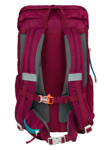 BAAGL Outdoorrucksack "Tracker Roj" in Pink/ Türkis - (L)26 x (B)13 x (H)42 cm