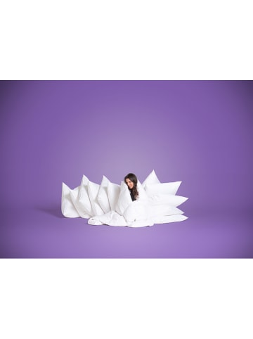 Häussling Bettwaren Zimowa kołdra puchowa w kolorze białym