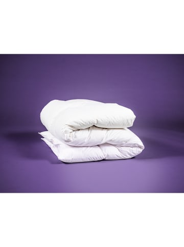 Häussling Bettwaren Winter-Daunendecke "Königstraum" in Weiß
