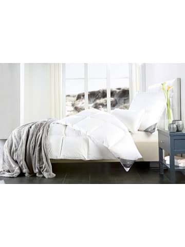 Häussling Bettwaren Driekamerkussen "Koningsdroom" wit