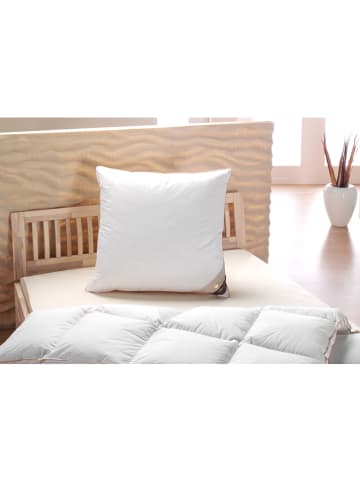 Häussling Bettwaren Hoofdkussen ''Special'' wit