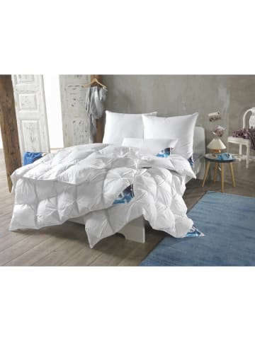 Häussling Bettwaren 4-seizoenen-donsdekbed wit