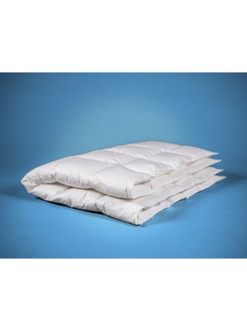 Häussling Bettwaren 4-seizoenen-donsdekbed ''Groenland'' wit