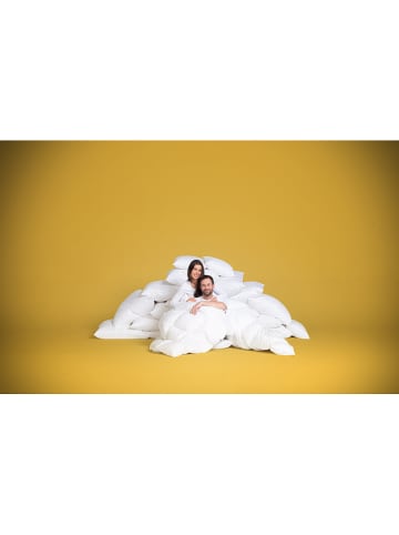 Häussling Bettwaren Zimowa kołdra puchowa "Select Extra" w kolorze białym