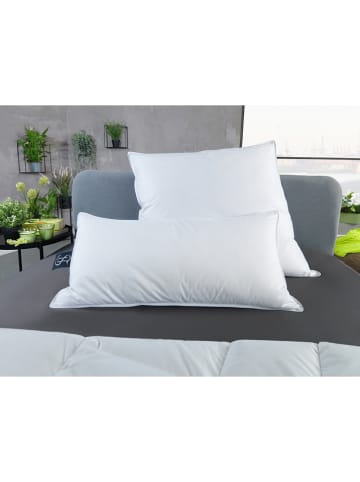 Häussling Bettwaren Verenkussen "Select - soft" wit