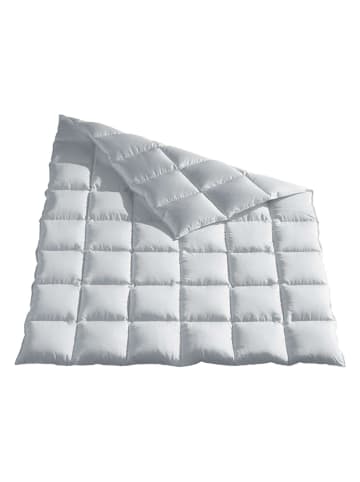 Häussling Bettwaren Sommer-Daunendecke "Moschus Royal" in Silbergrau