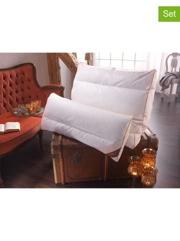 Häussling Bettwaren 2er-Set: Federkissen "Goldbiese - Medium" in Weiß