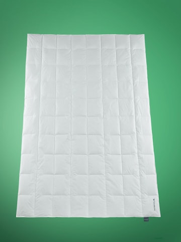 Häussling Bettwaren 4-seizoenen-donsdekbed wit