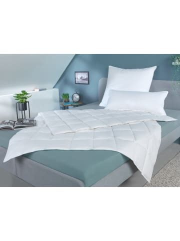 Häussling Bettwaren Zomerdonsdekbed "Häussling Home" wit