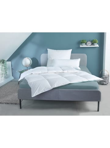 Häussling Bettwaren Całoroczna kołdra puchowa "Home" w kolorze białym