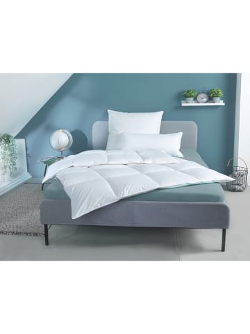 Häussling Bettwaren Ganzjahres-Daunendecke "Home - Extra Warm" in Weiß