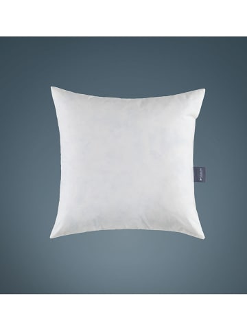 Häussling Bettwaren Federkissen "Special" in Weiß