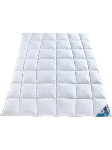 Häussling Bettwaren 4-seizoenen-donsdekbed "Hjemme Hygge" wit