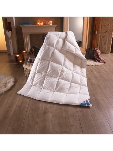 Häussling Bettwaren Winter-Daunendecke "Hjemme Hygge" in Weiß