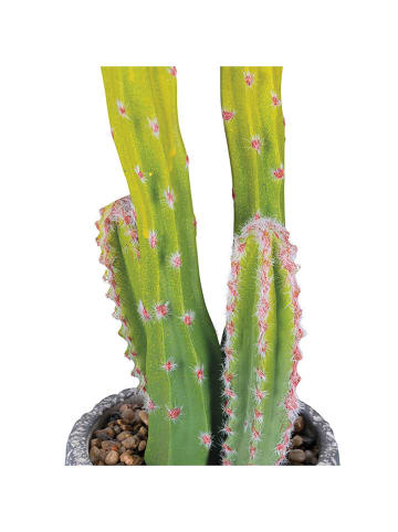 Villa d´Este Sztuczny kwiat "Cactus" w kolorze zielono-szarym - 40,5 cm