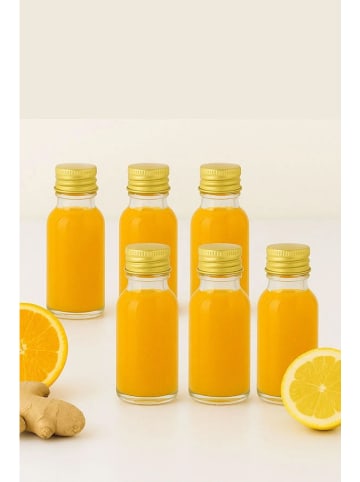 Hermia 6-delige set: shotflessen goudkleurig - 100 ml