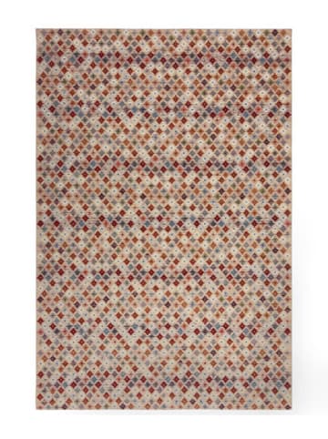 Flair Rugs Kurzflor-Teppich in Bunt