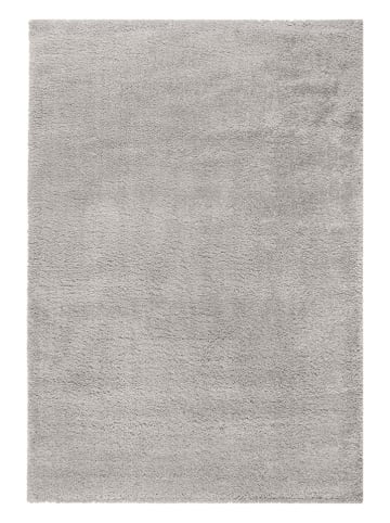 Flair Rugs Tapijt lichtgrijs