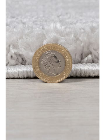 Flair Rugs Tapijt lichtgrijs