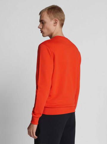 North Sails Sweatshirt in Orange